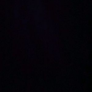 Meet your Posher, Donte